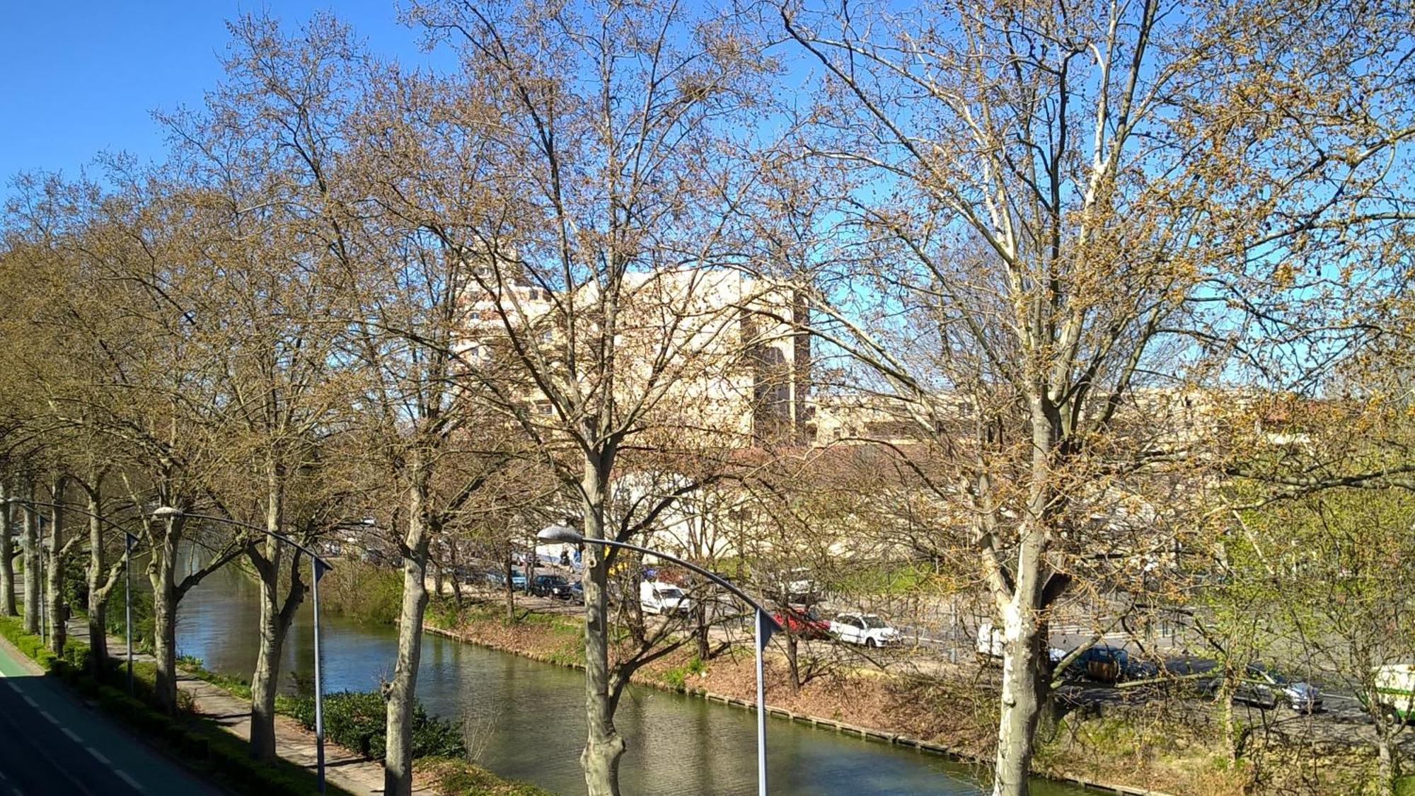 Appartement Matabiau Toulouse Eksteriør billede